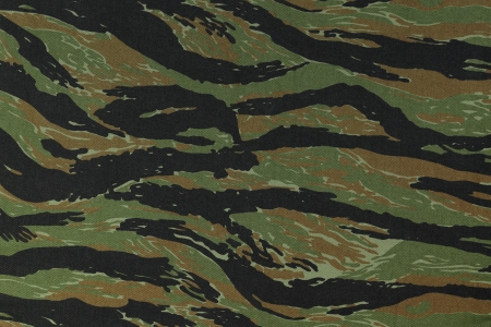 US vietnam green tigerstripe camouflage fabric texture backgroundの写真素材