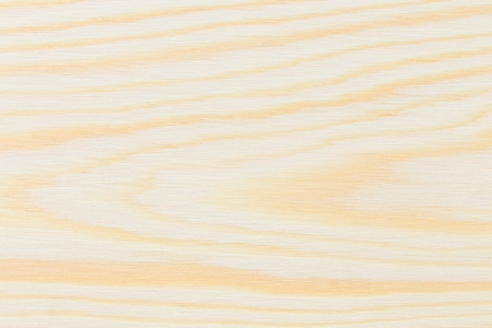 Pine wood texture plankの写真素材