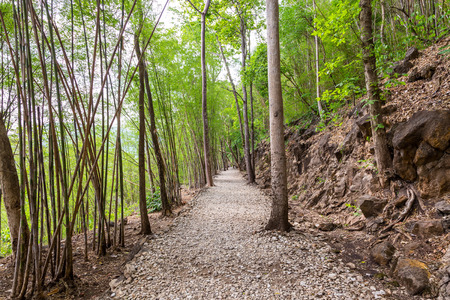Trail to Hellfire pass, World War 2 memorial,  Kanchanaburi, Thailandの写真素材