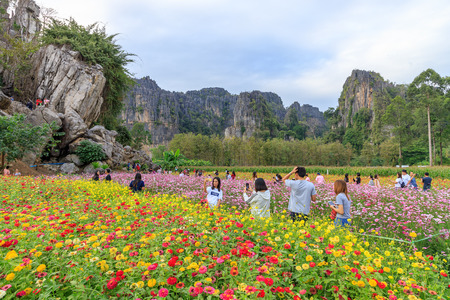 Phitsanulok, Thailand - December 30, 2018: Flower garden and beautiful limestome mountain range at Ban Mung Village, Noen Maprang District.のeditorial素材