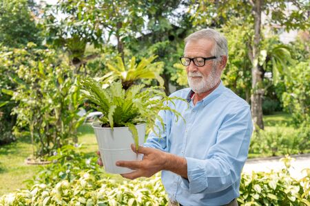 Senior old man eldery puring water and taking care small tree on table in gardenの写真素材