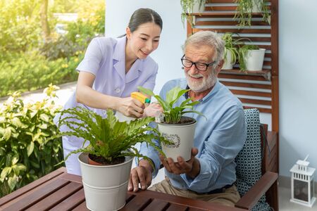 Caregiver help assist senior old man eldery puring water and taking care small tree on tableの写真素材
