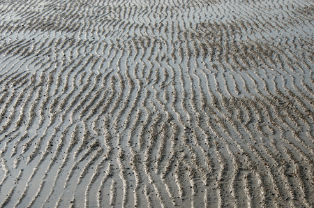 The Shoal Texture.