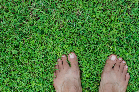 Feet On Green Field of Lawn.の写真素材