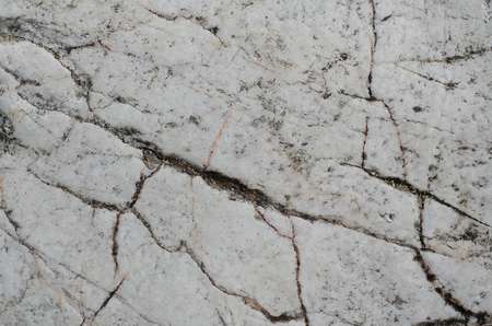 Rough Texture of White Stone.の写真素材