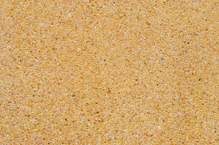 Rough Texture of Yellow Sand Wall.