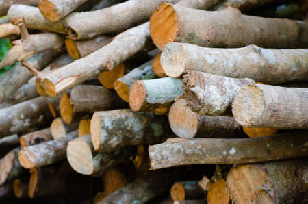 Pile of Wood Sticks for Firewood Used.の写真素材