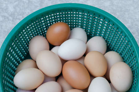 Eggs in the Plastic Basket.