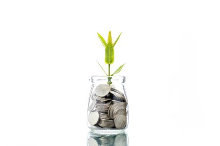 Growing crops with money in glass bottles Plants grow and grow. Is a concept of investment, business, savings, and is a concept of financial investment that is growing with pattern And good planningの写真素材