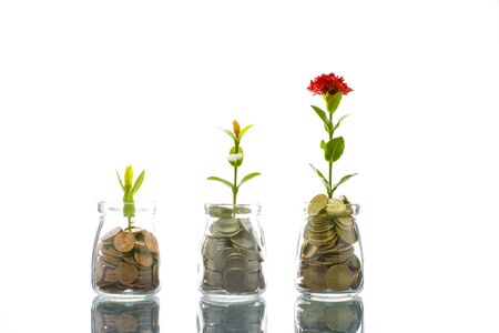 Growing crops with money in glass bottles Plants grow and grow. Is a concept of investment, business, savings, and is a concept of financial investment that is growing with pattern And good planningの写真素材