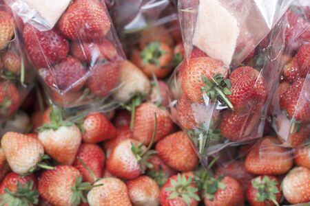 Red fresh strawberry Packed in a plastic bag for sale.