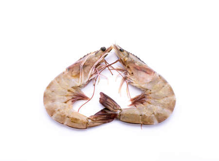 Fresh shrimp on white backgroundの写真素材