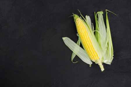 Fresh corn on the cob on a rustic black wooden table with copy space - top viewの写真素材