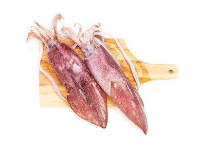 Two fresh raw octopus, seafood. From nature, top view. It is isolated on white background.の写真素材