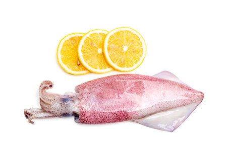 Fresh squid from the natural sea and lemon slices on a white background.の写真素材