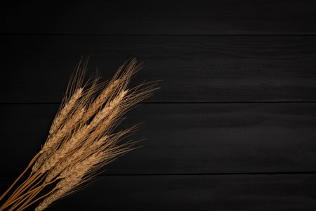 Barley ears natural wheat grain For making dough and bread, placed on a black background. dark top viewの写真素材
