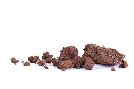 Soil or natural soil pile for agriculture, isolated on white background.
