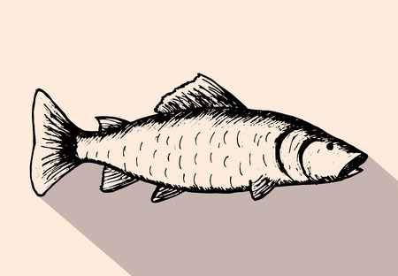 Vector illustration, hand drawn sketch of fish with a long shadowのイラスト素材
