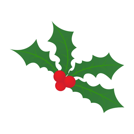 christmas holly leaf, christmas symbolのイラスト素材