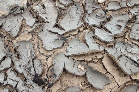 Dry cracked soil