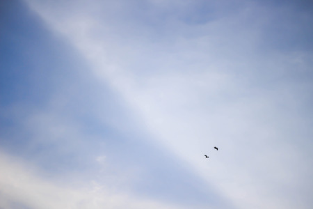 Partly Cloudy and light from the sun and the birds are flying.