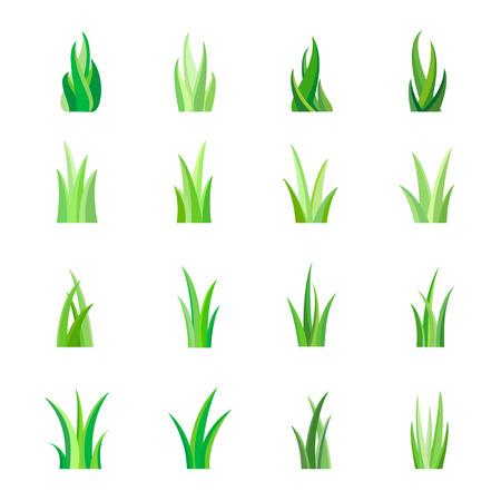 Green Grass, Isolated, Vector Illustrationのイラスト素材