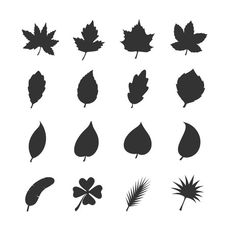 Leaf icon setのイラスト素材