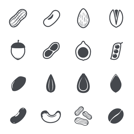 Nut icons. Vector illustration.のイラスト素材