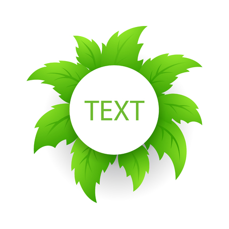 Circle on a background of tropical green leaves for text. Vector illustration.のイラスト素材