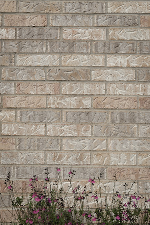 background of random orange tone brick wall with small flower bush foreground, pattern verticalの写真素材