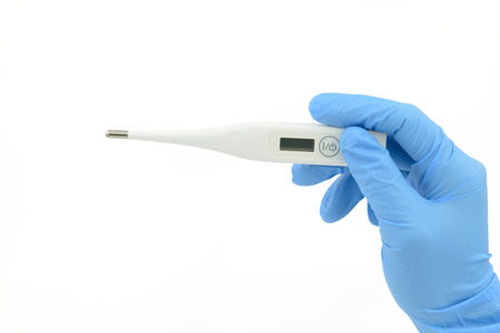 Digital thermometer in hand held, wearing blue nitrile glove, isolated white background