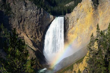 Beautiful Lower Falls Yellowstone River at Yellowstone National Park with natural Rainbow in the morning. Very high waterfall in Wyoming.の写真素材