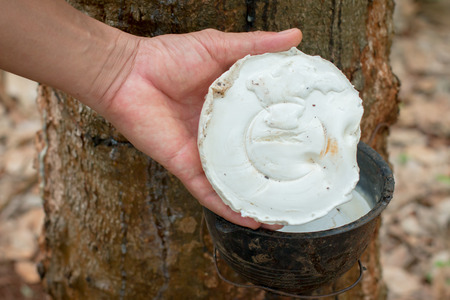 Close-up of bales of raw rubber.の写真素材
