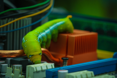 Worm, computer, virus, Big green worm Malicious computer.の写真素材