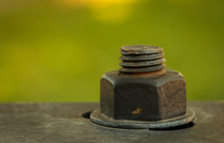 nut,old,very big, big,seize,Lamp post,electricity post.の写真素材