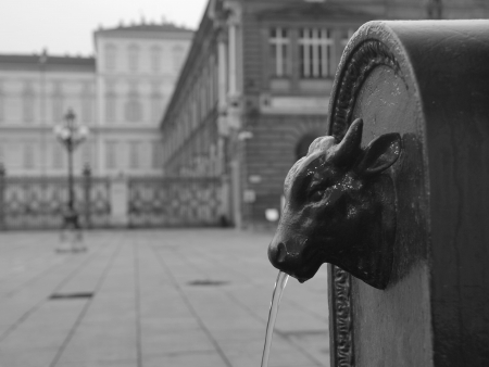 The green bull fountain in Turin (Italy)の写真素材
