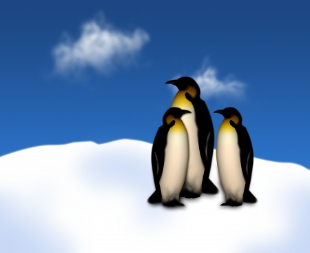 Penguinsの写真素材