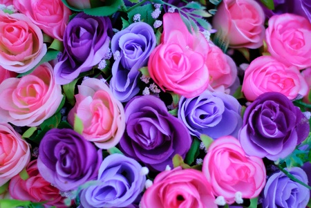 Flowerの写真素材