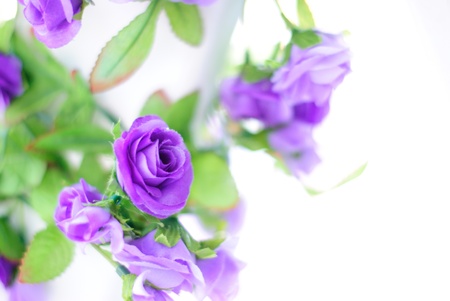 Flowerの写真素材