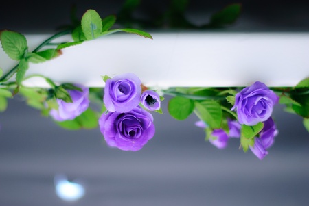 Climberの写真素材