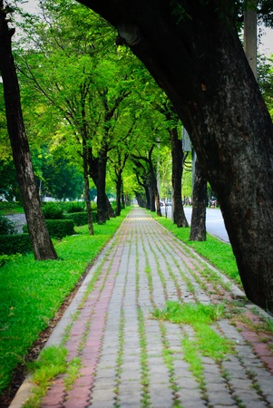 Sidewalkの写真素材