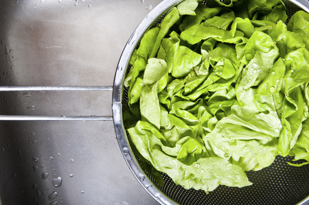 Fresh salad in sink covered water drops の写真素材