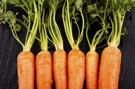 raw fresh carrots with tails, top viewの写真素材