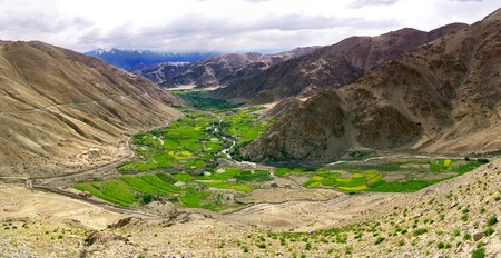 oasis among the hillの写真素材