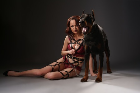 Sexy brunette in lace lingerie and leather belts posing with a doberman dog in studioの写真素材