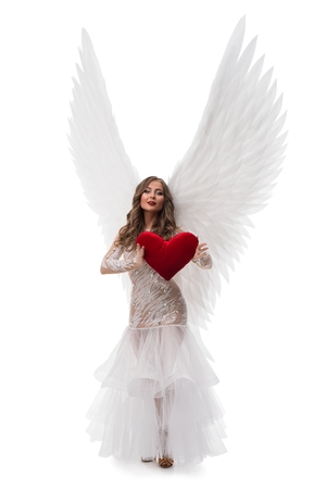 Brunette in gorgeous dress and wings shotの写真素材
