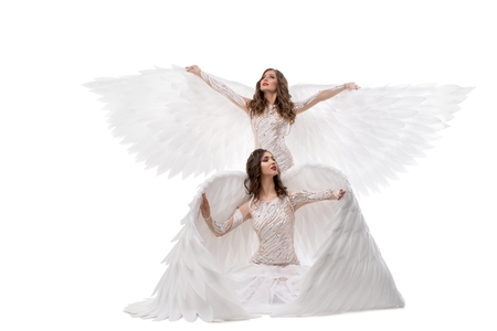 Dancers in beautiful dresses and wings viewの写真素材