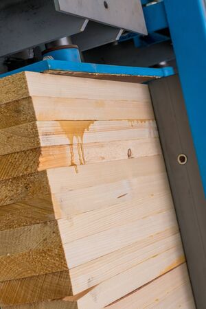 Image of glued wooden lamellas are pressed