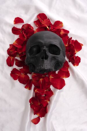 Skull lying in red rose petals top viewの写真素材