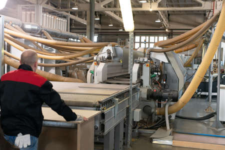 Back view of unrecognizable male worker taking chipboard part from conveyor belt while working in workshop of wooden furniture factoryの写真素材